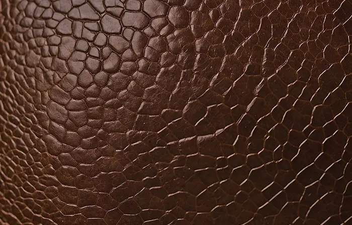Deep Brown Leather Texture Snapshot